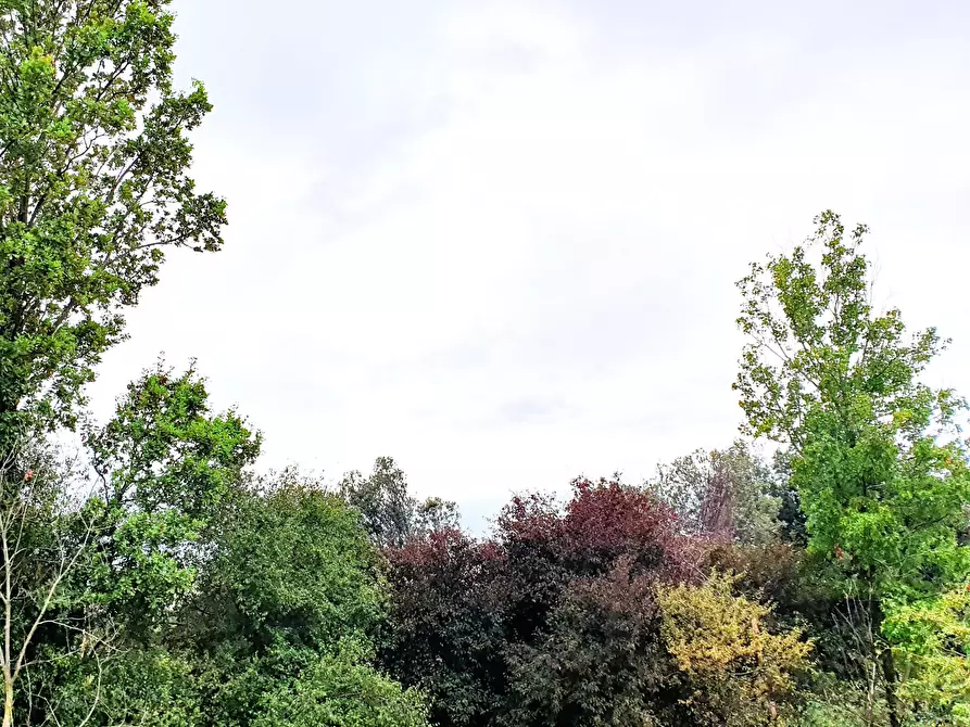 Immagine 6 di Quadrilocale in vendita  in MONTE NETTO a Poncarale