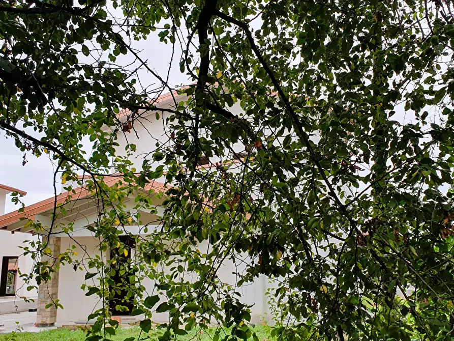 Immagine 1 di Quadrilocale in vendita  in MONTE NETTO a Poncarale