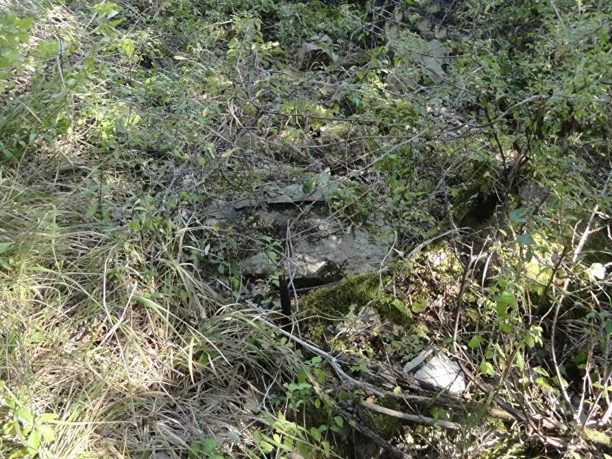 Immagine 7 di Magazzino in vendita  in Novafeltria a Novafeltria