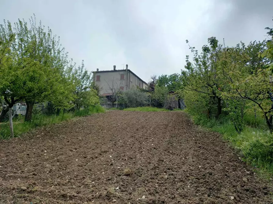 Immagine 3 di Terratetto in vendita  in Via Serra di Sotto 52 a Pennabilli