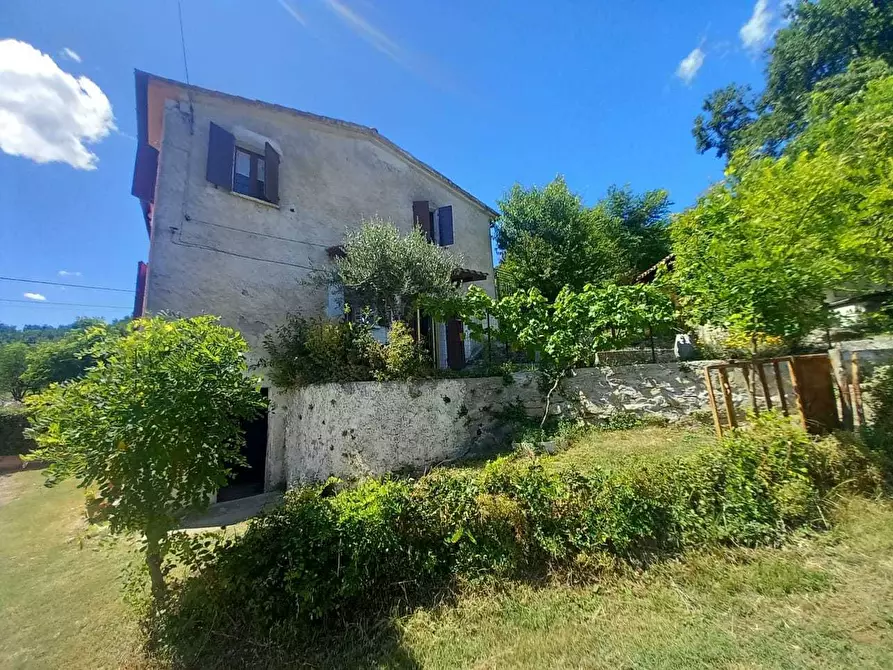 Immagine 2 di Terratetto in vendita  in Località Pozzo 36 a Novafeltria