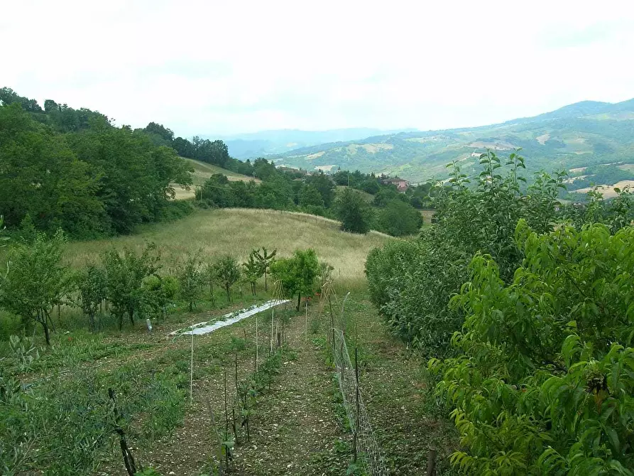 Immagine 7 di Terratetto in vendita  in Via Serra di Sotto 52 a Pennabilli