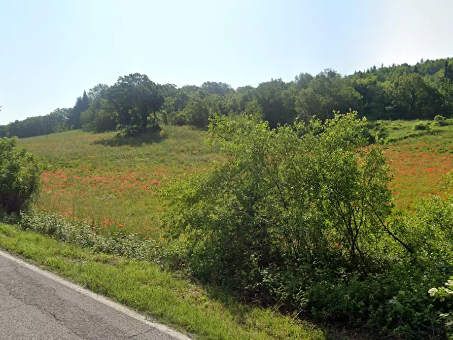 Immagine 6 di Terreno agricolo in vendita  in Via Ca' di Gallo 86 a Maiolo