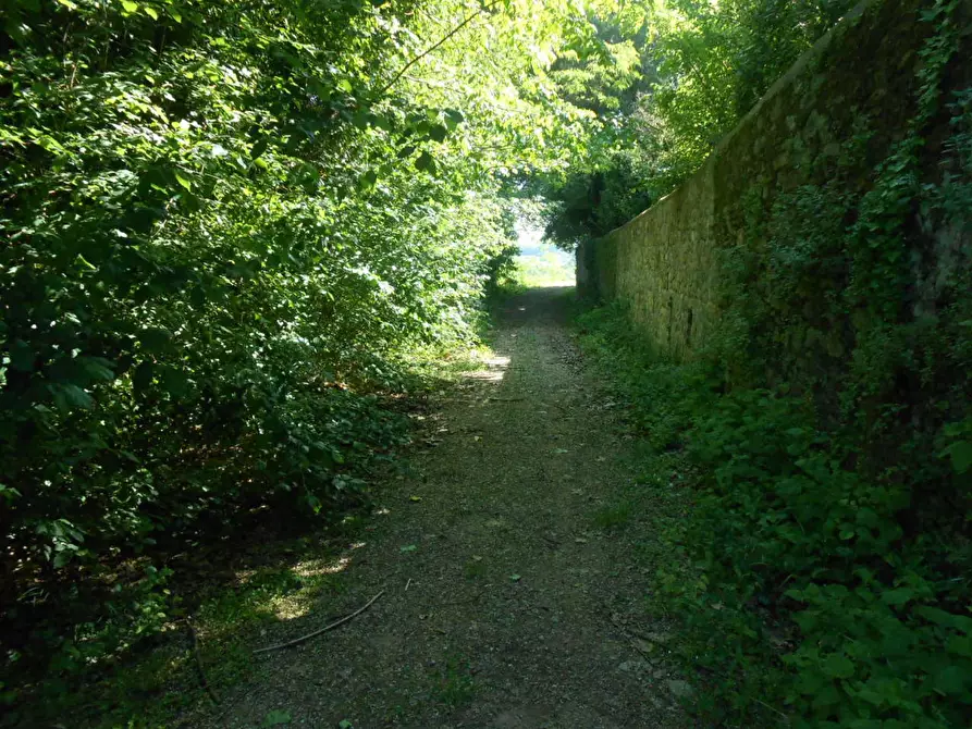 Immagine 34 di Rustico / casale in vendita  in via della pieve a Capannori