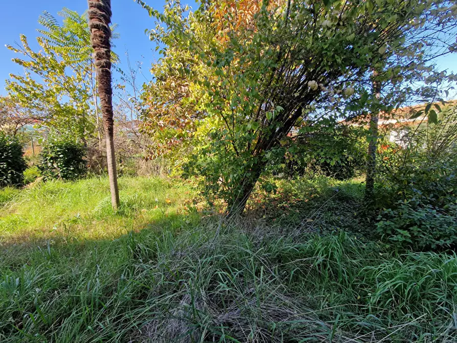 Immagine 39 di Terratetto in vendita  in Via Pasquinetti a Lucca