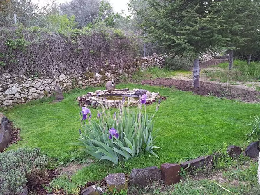 Immagine 14 di Terreno industriale in vendita  in via bientina a Altopascio