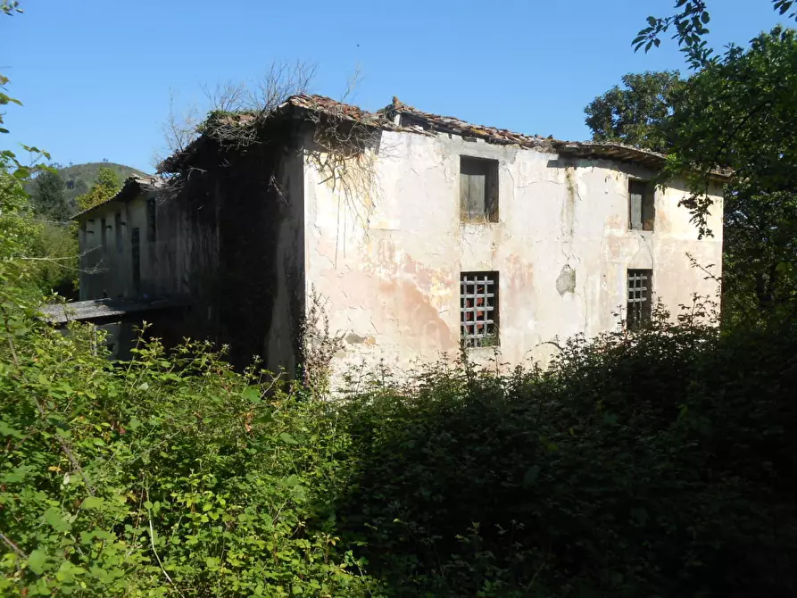 Immagine 39 di Rustico / casale in vendita  in via della pieve a Capannori