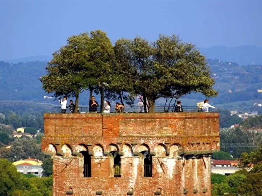Immagine 5 di Bed & Breakfast in vendita  in Via Degli Angeli a Lucca