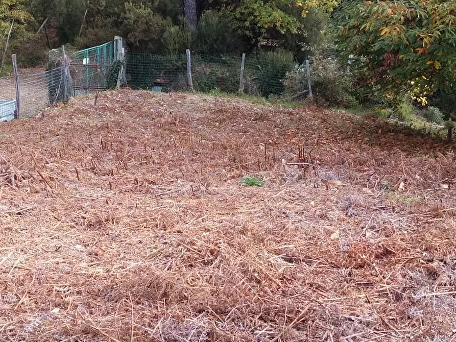 Immagine 5 di Terreno agricolo in vendita  in via di caroggia a Lucca