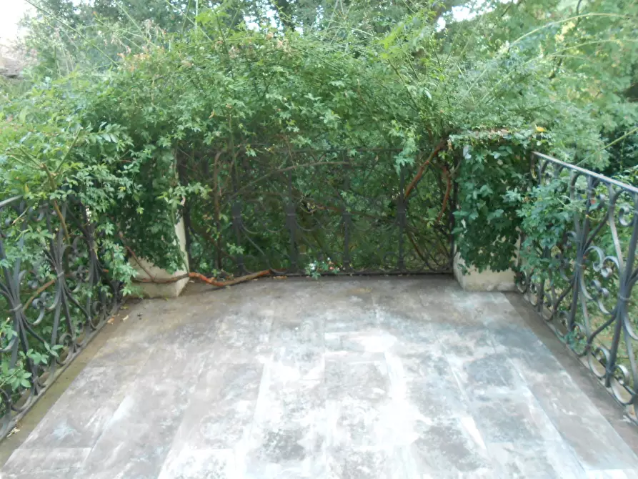 Immagine 3 di Villa in vendita  in Via Francesco Ferraris a Lucca