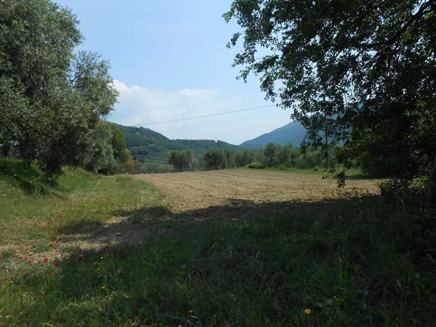 Immagine 17 di Rustico / casale in vendita  in Via per massaciuccoli a San Giuliano Terme