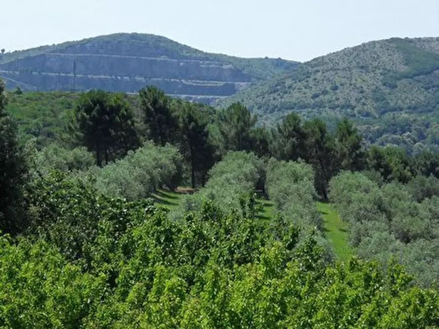 Immagine 34 di Rustico / casale in vendita  in Via per massaciuccoli a San Giuliano Terme