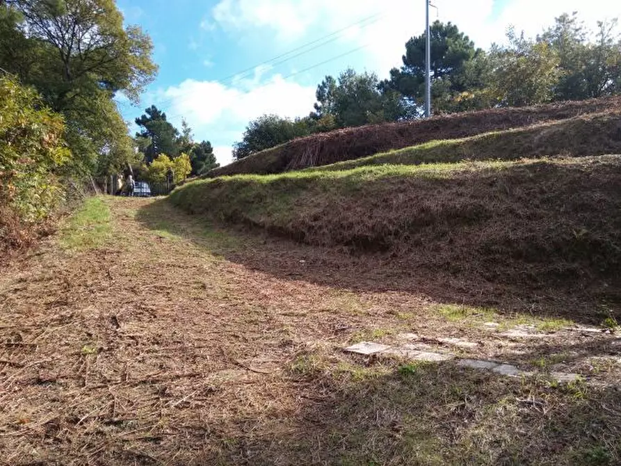 Immagine 20 di Terreno agricolo in vendita  in via di caroggia a Lucca