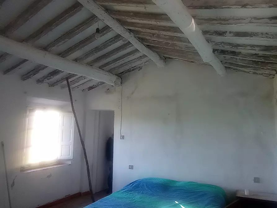 Immagine 7 di Rustico / casale in vendita  a Massarosa