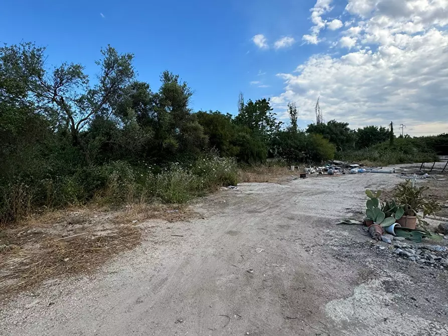 Immagine 9 di Attività artigianale in affitto  a Siracusa