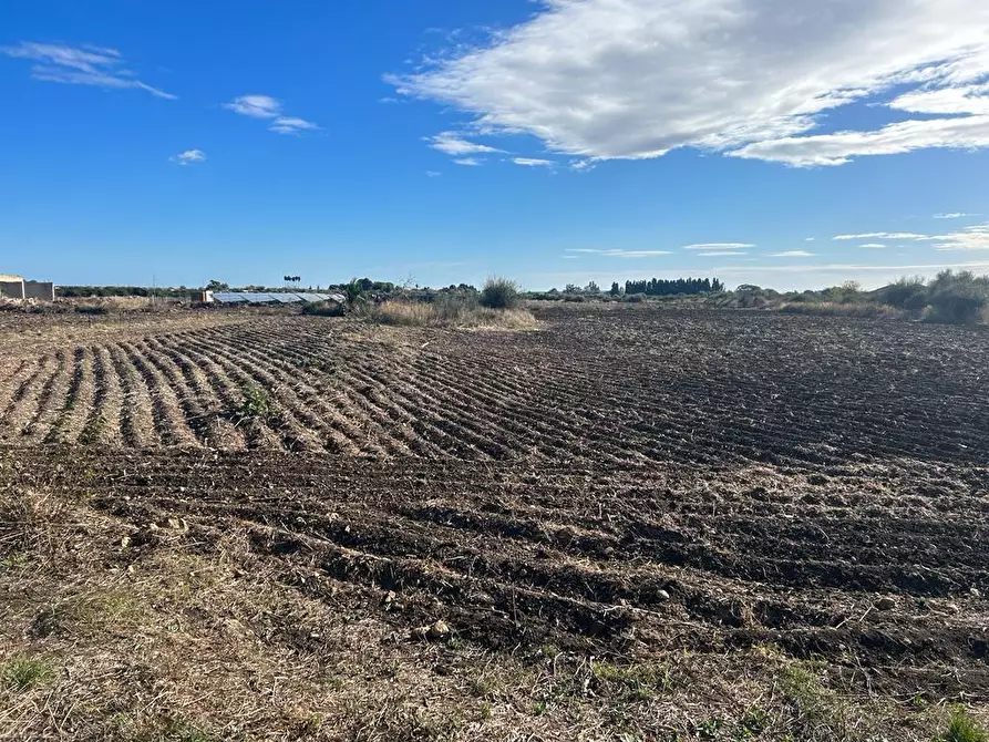 Immagine 10 di Terreno agricolo in vendita  a Siracusa