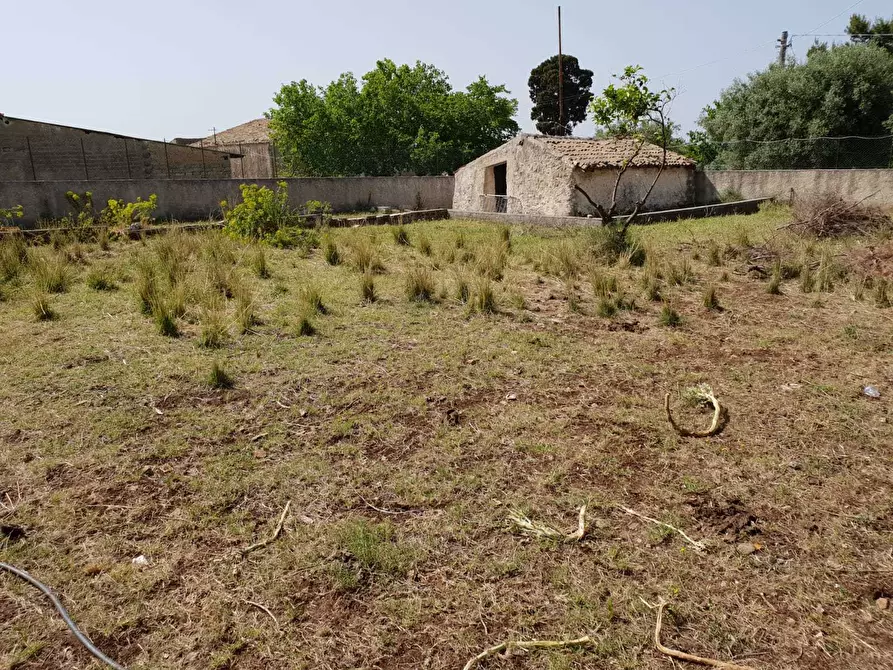Immagine 4 di Terreno agricolo in vendita  a Siracusa