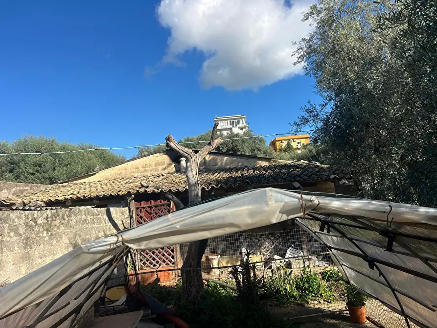 Immagine 9 di Terreno agricolo in vendita  a Siracusa