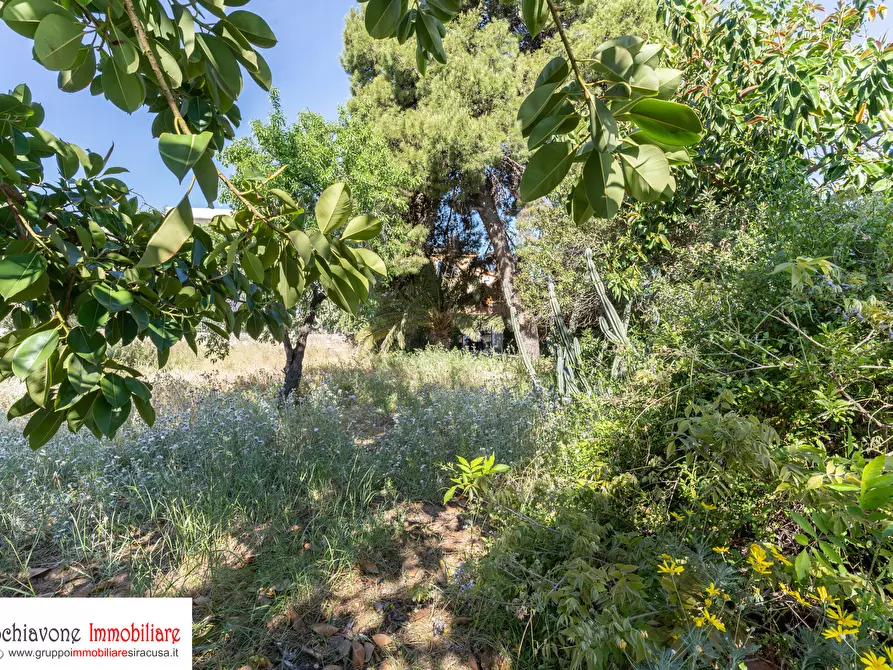Immagine 6 di Villa in vendita  a Siracusa