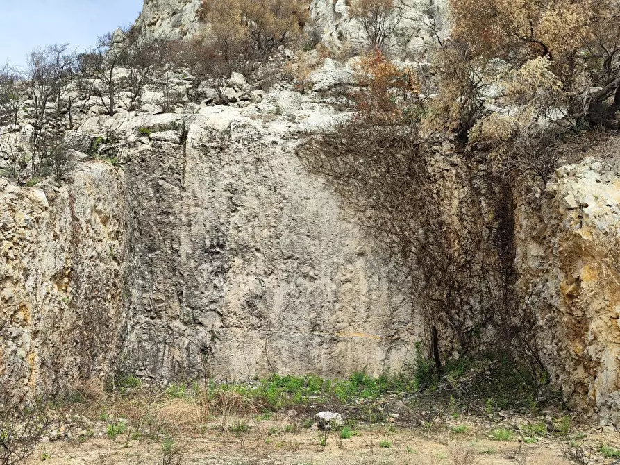 Immagine 7 di Terreno agricolo in vendita  a Melilli
