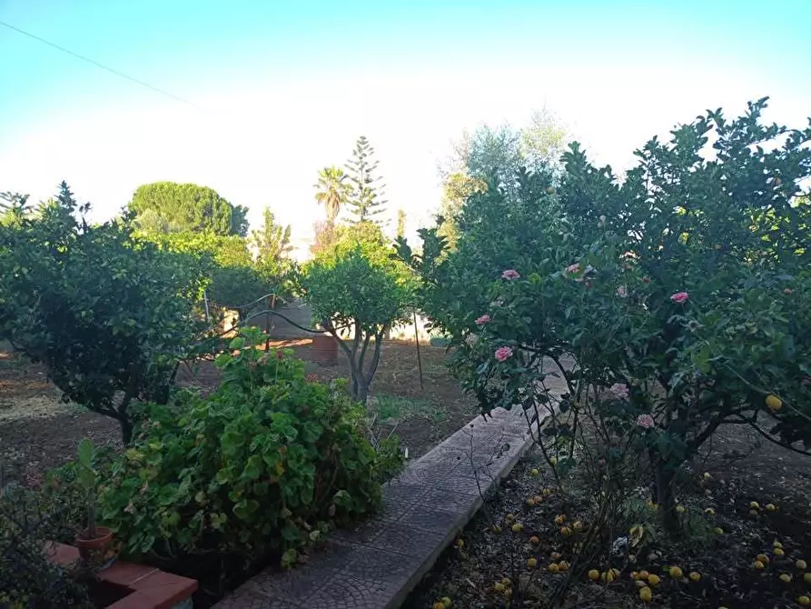 Immagine 13 di Villa in vendita  a Siracusa