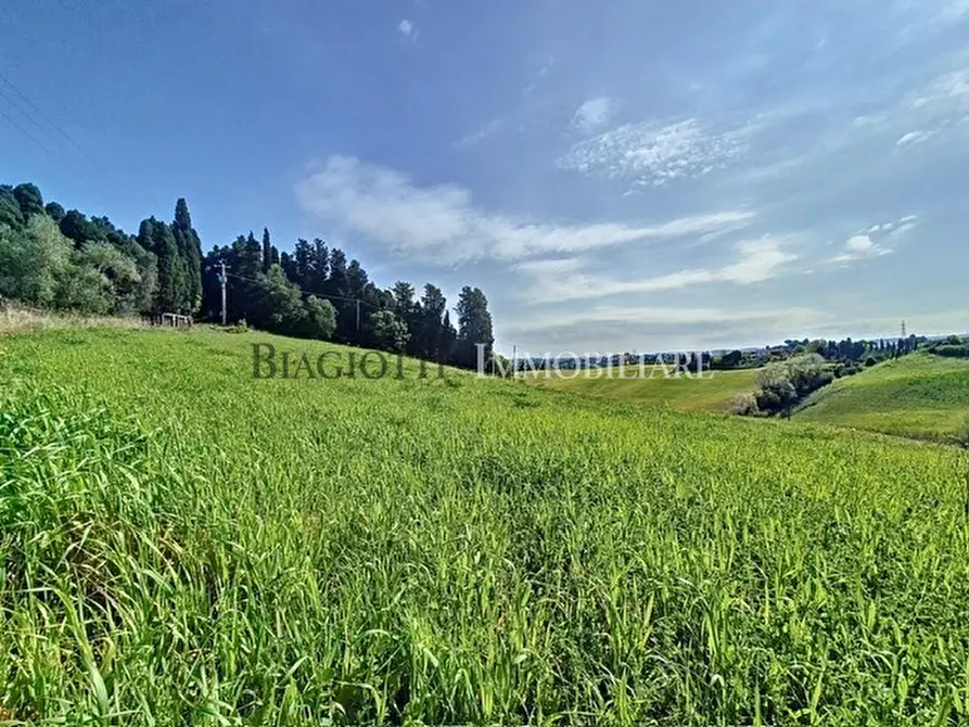 Immagine 35 di Rustico / casale in vendita  a Livorno