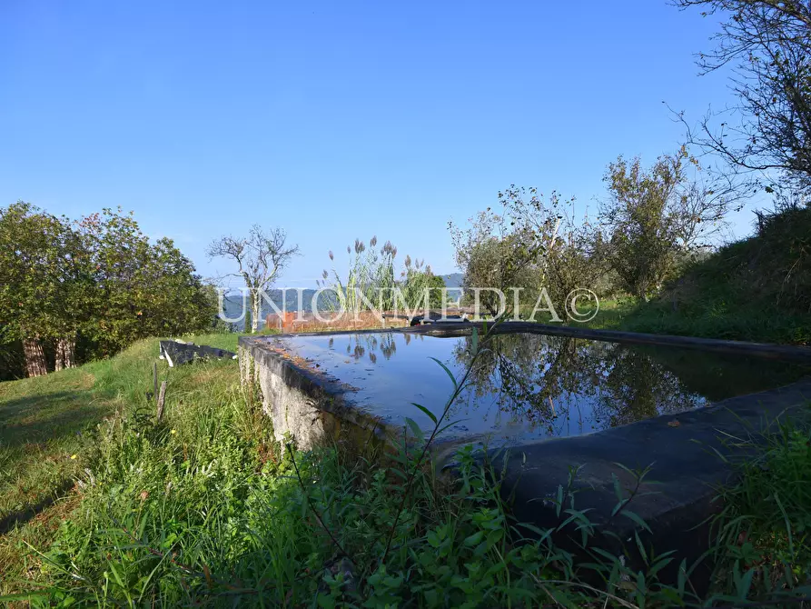 Immagine 32 di Casa indipendente in vendita  in Via boccognano a Fosdinovo