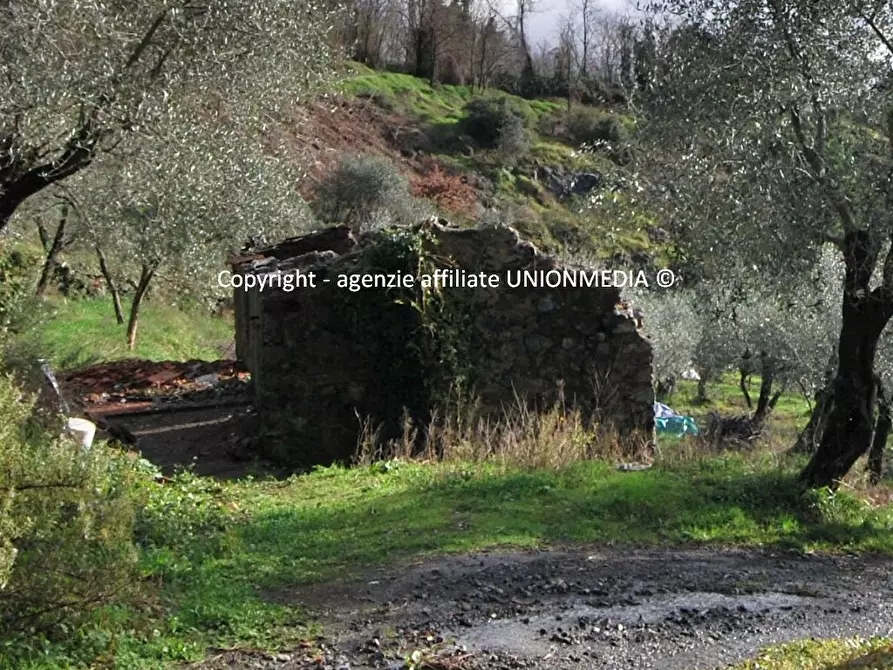 Immagine 3 di Rustico / casale in vendita  a Santo Stefano Di Magra