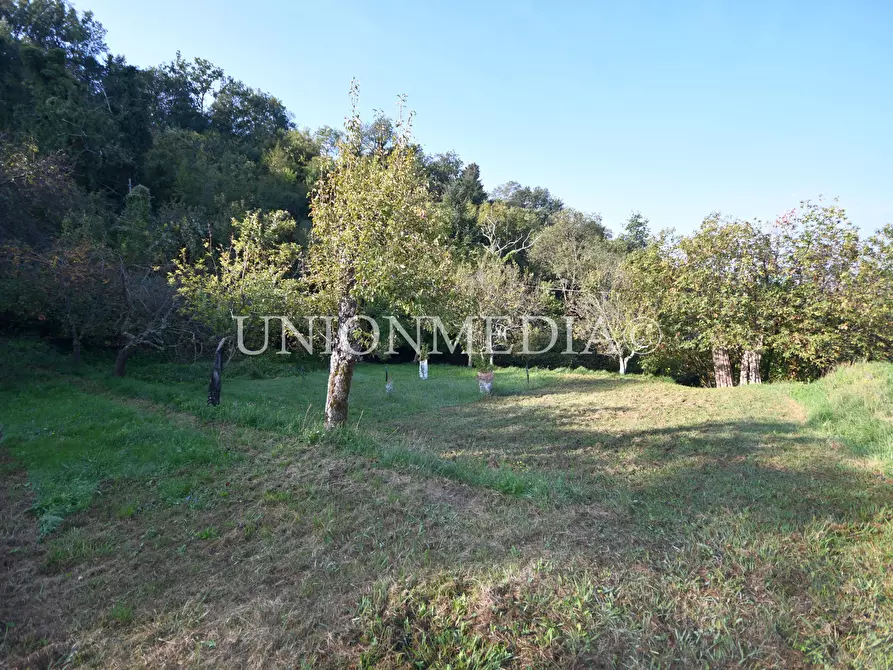 Immagine 33 di Casa indipendente in vendita  in Via boccognano a Fosdinovo