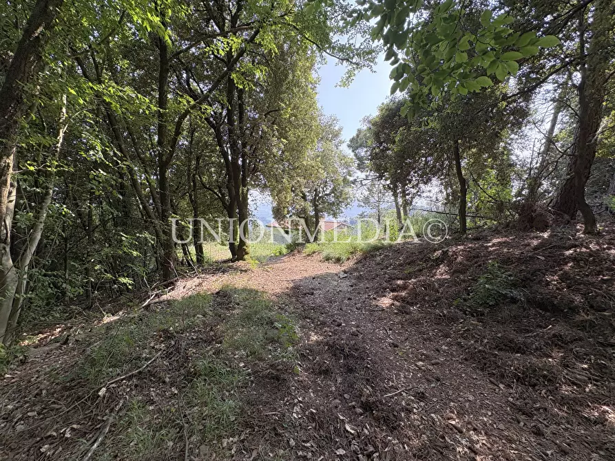 Immagine 31 di Rustico / casale in vendita  in via carignano a Fosdinovo