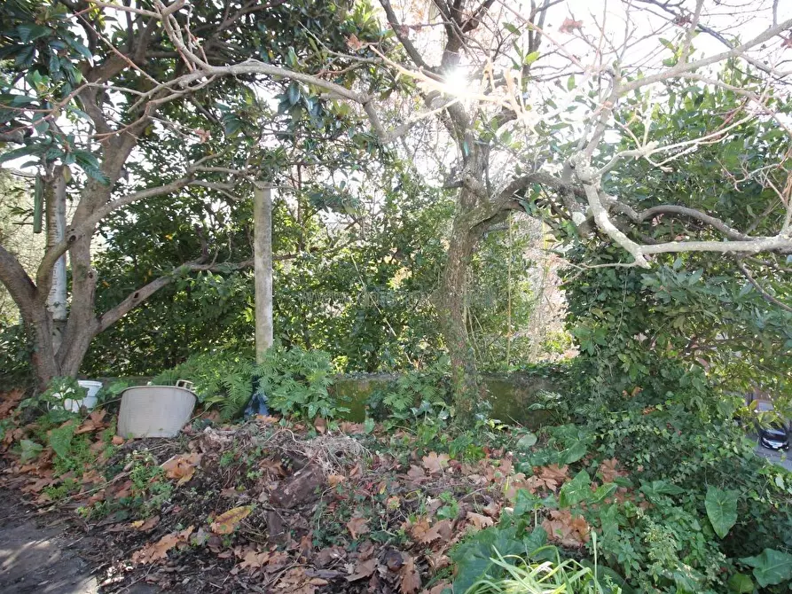 Immagine 16 di Casa indipendente in vendita  a Arcola