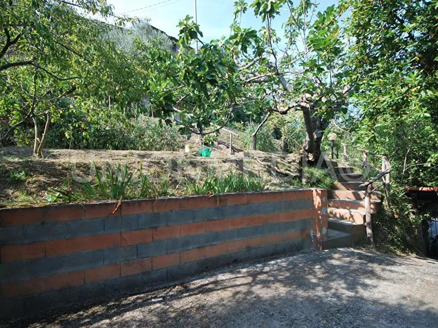 Immagine 17 di Terratetto in vendita  in Via Annunziata a Ortonovo