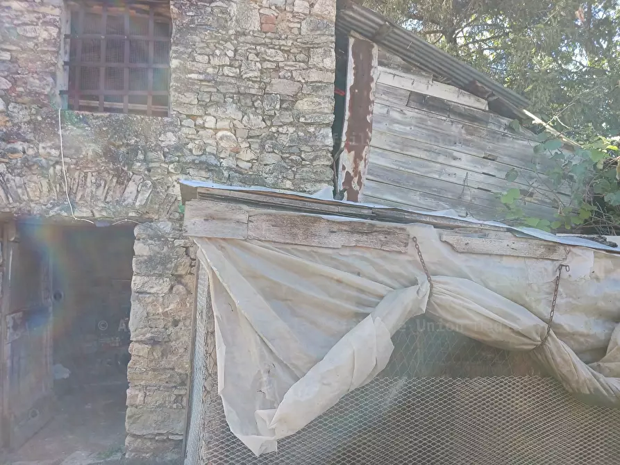 Immagine 5 di Rustico / casale in vendita  a Arcola