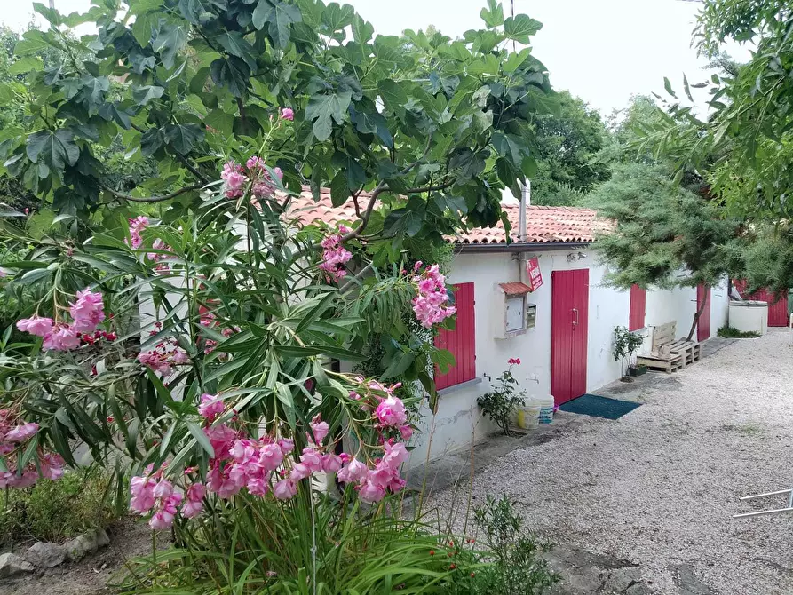 Immagine 2 di Casa indipendente in vendita  in Via Vignola Palata 25 a Sogliano Al Rubicone