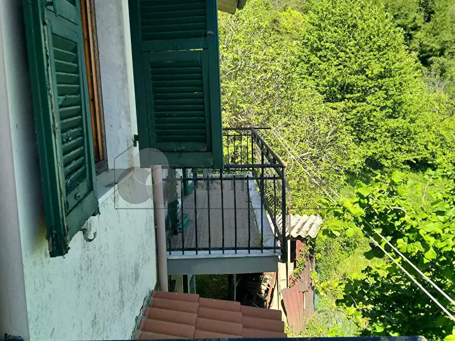 Immagine 21 di Casa indipendente in vendita  in Via Brigate Garibaldi 7 a Zignago