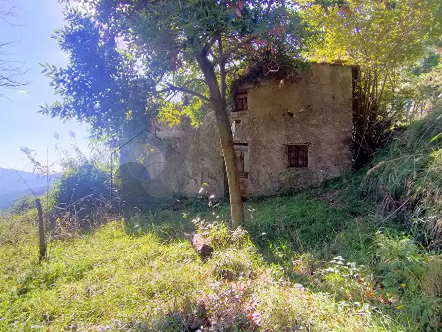 casa indipendente in vendita a Sarzana in zona Falcinello