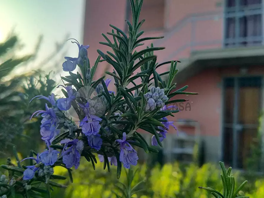Immagine 5 di Casa indipendente in vendita  a Sarzana