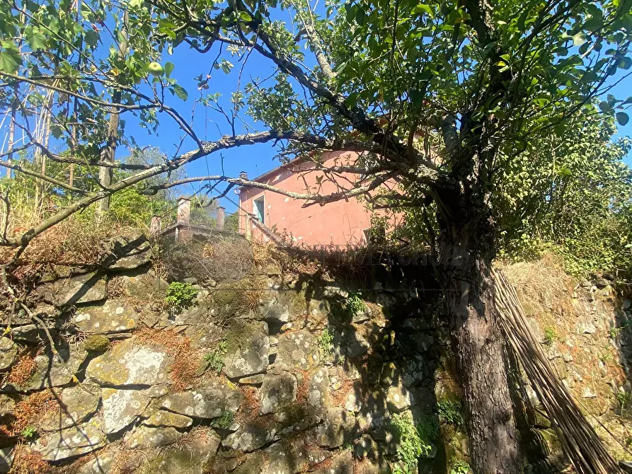 Immagine 2 di Casa indipendente in vendita  a Follo