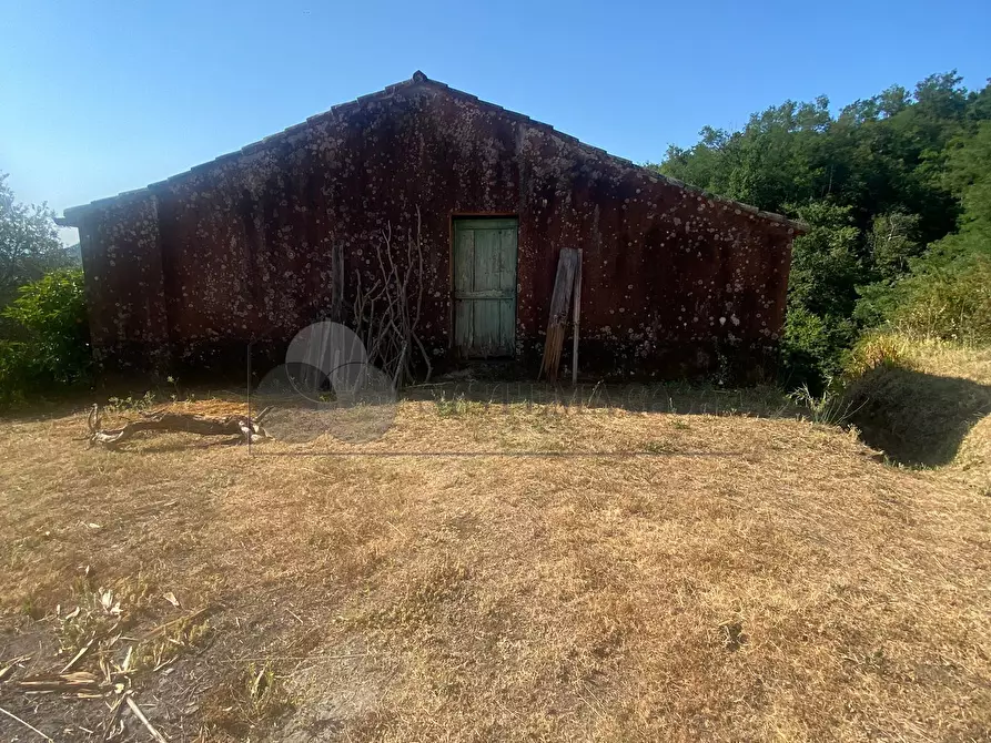 Immagine 12 di Casa indipendente in vendita  a Follo