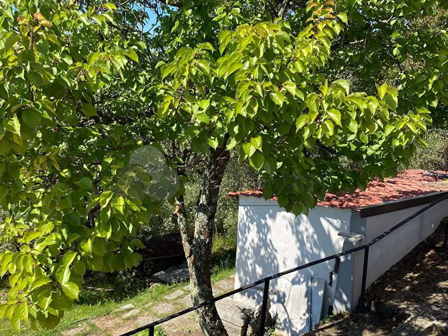 Immagine 47 di Villa in vendita  in Via Fratelli Aristide e Alduino Castellini 8 a Vezzano Ligure