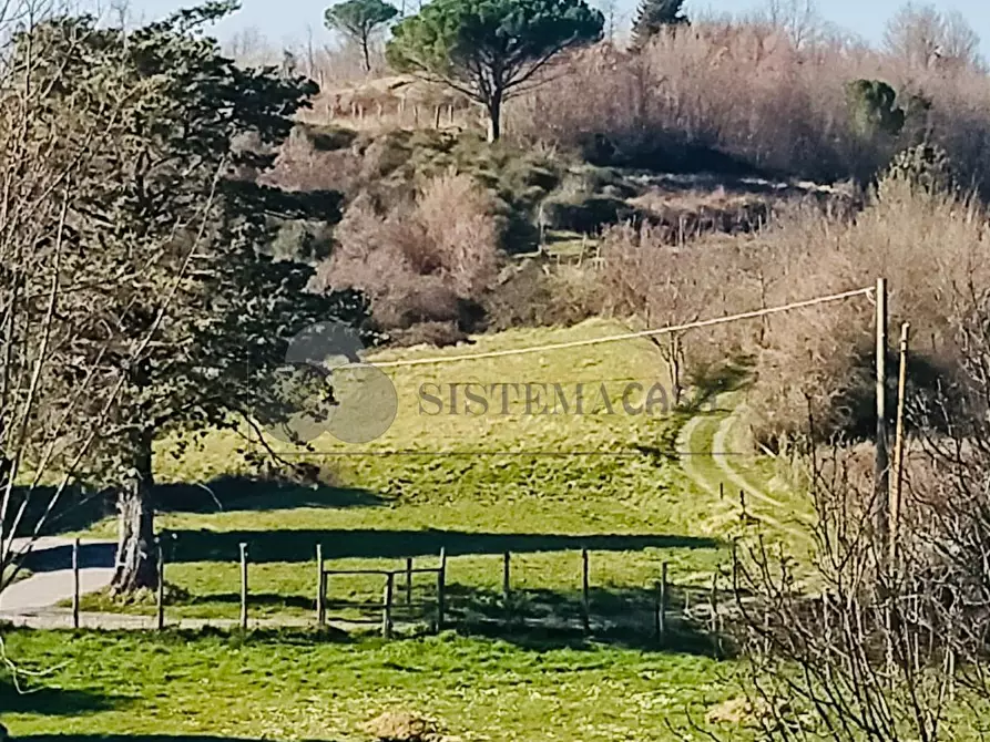 Immagine 18 di Terratetto in vendita  in Via Carlo del Prete 17 a Fivizzano