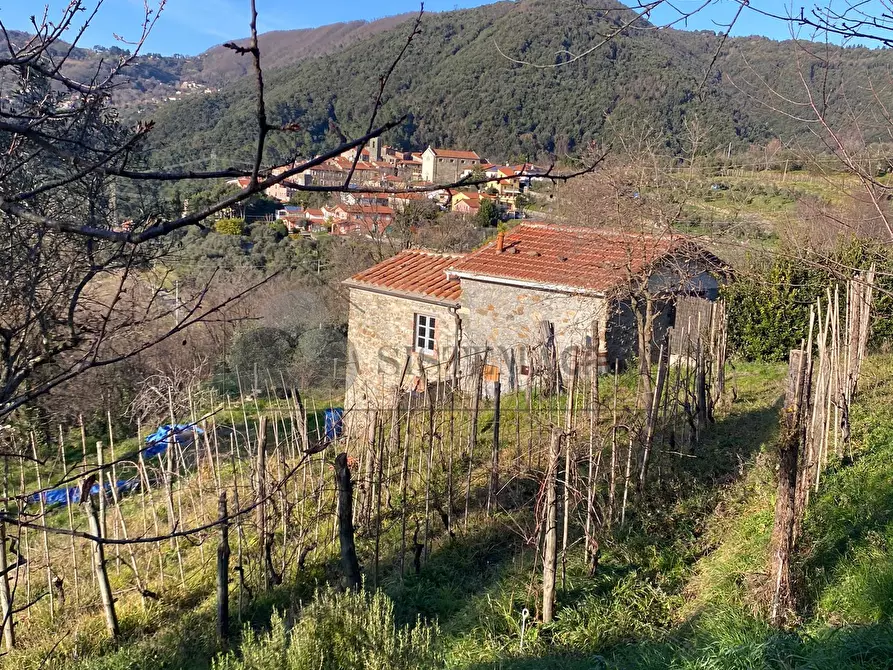 Immagine 19 di Terratetto in vendita  in Via Vallacara 3 a Fosdinovo