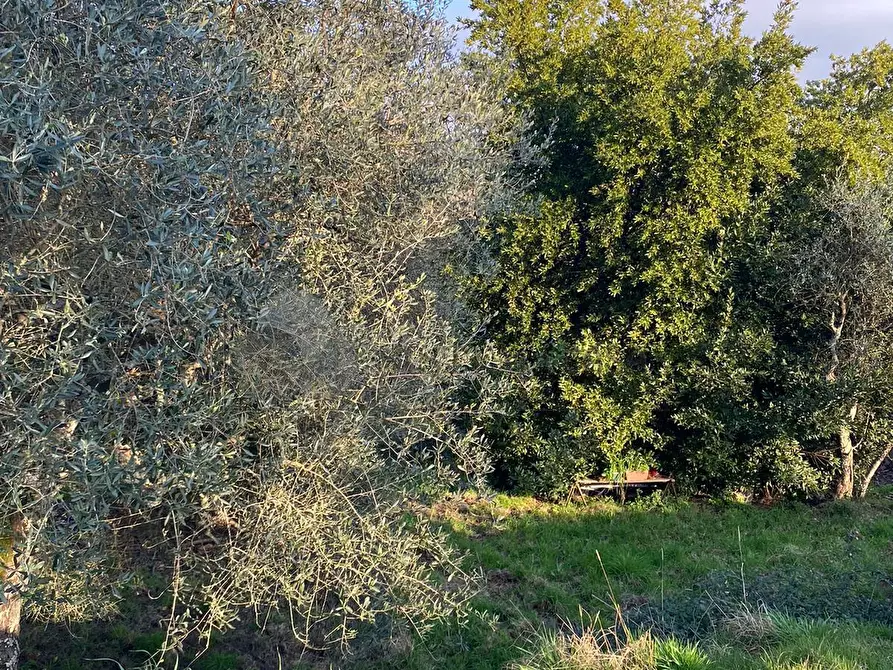 Immagine 20 di Porzione di casa in vendita  in Via San Rocco 9 a Follo