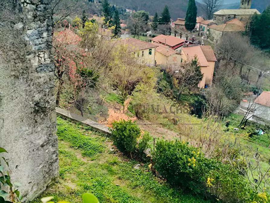Immagine 2 di Rustico / casale in vendita  in Loc. Le Cassonare snc a Calice Al Cornoviglio