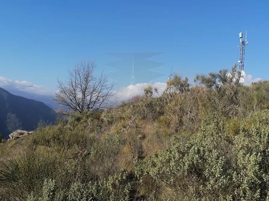 Immagine 21 di Terreno agricolo in vendita  in Via alla Stazione 40 a Ventimiglia