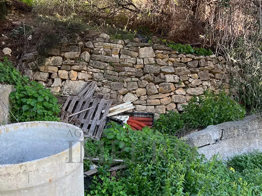 Immagine 35 di Villa in vendita  in via silvio peglio snc a Bordighera