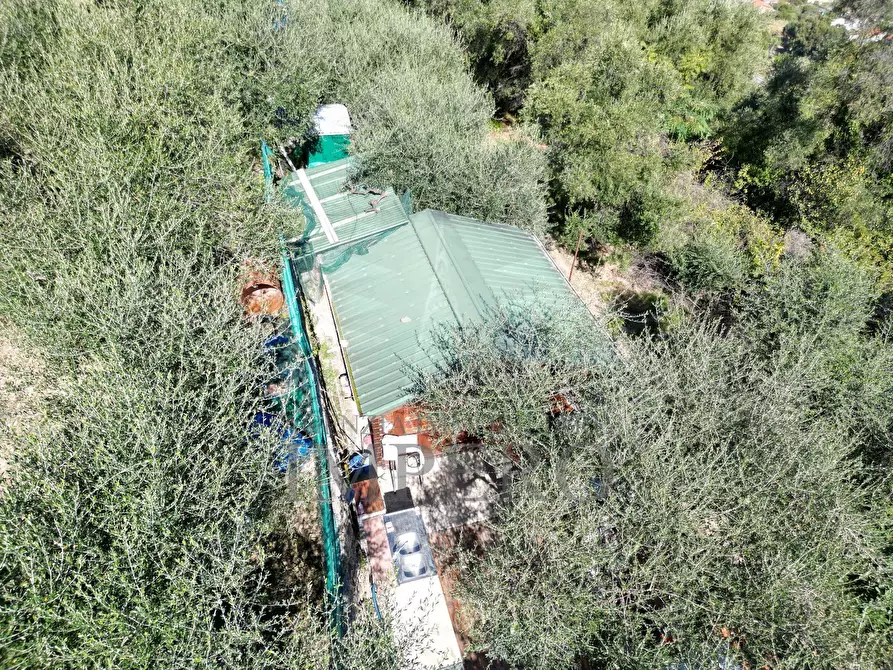 Immagine 59 di Terreno agricolo in vendita  in Via Monsignore Daffra 40 a Ventimiglia