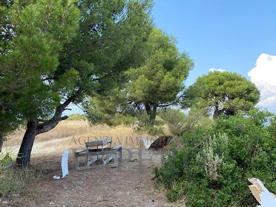 Immagine 9 di Terreno agricolo in vendita  in Via alla Stazione 40 a Ventimiglia