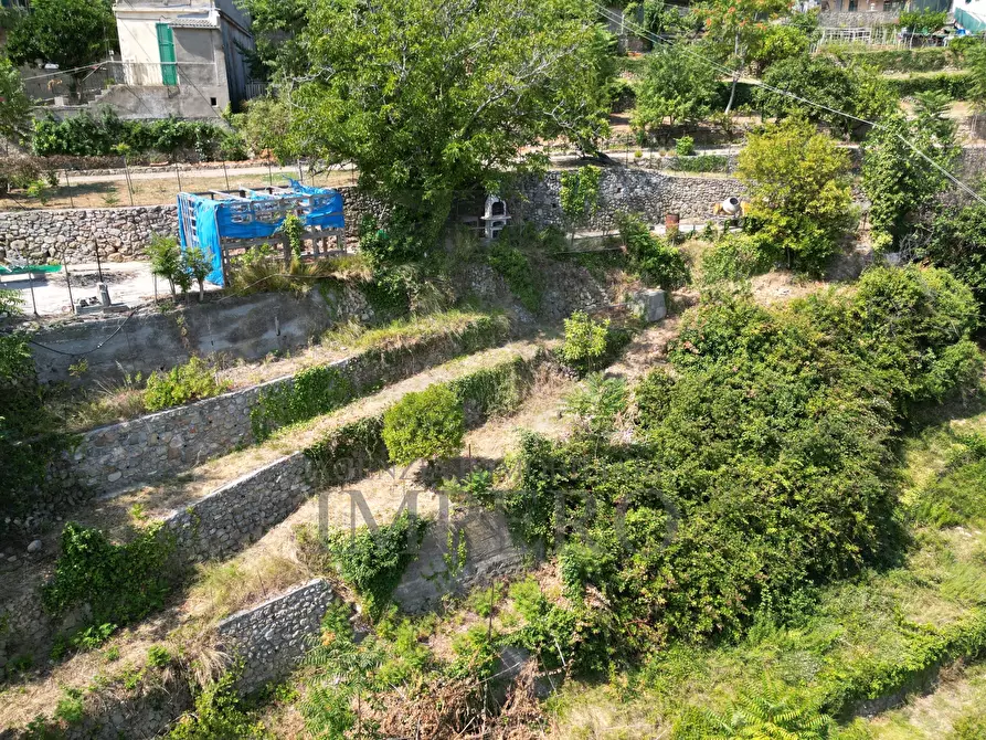 Immagine 22 di Terreno agricolo in vendita  in Via Daffra 20 a Ventimiglia