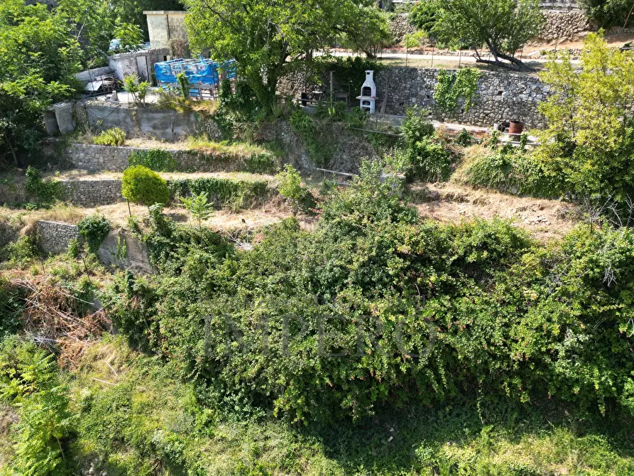 Immagine 21 di Terreno agricolo in vendita  in Via Daffra 20 a Ventimiglia